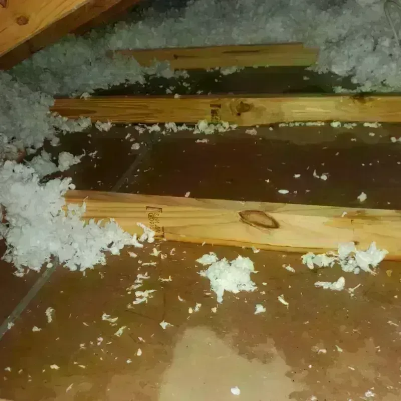 Attic Water Damage in Cathlamet, WA