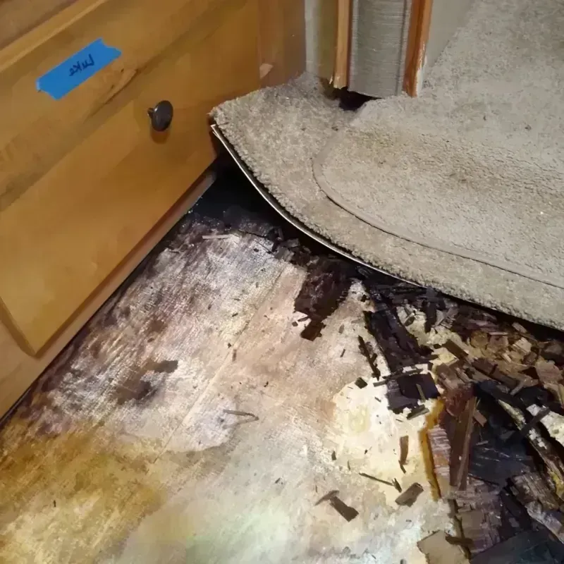 Wood Floor Water Damage in Cathlamet, WA